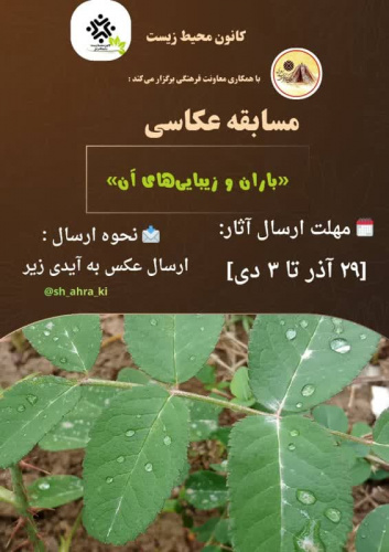 مسابقه عکاسی   «باران و زیبایی‌های آن»