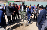 برگزاری آیین مقدس درختکاری در دانشگاه زابل