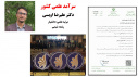 Experienced and outstanding professors