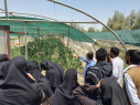 Scientific camps