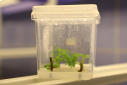 Biotechnology Research Institute