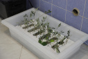 Biotechnology Research Institute