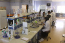 Biotechnology Research Institute