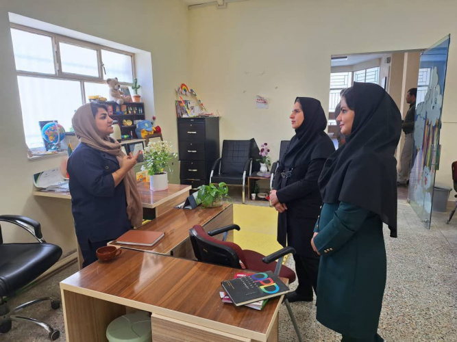 بازدید