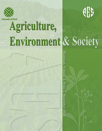 1745316236-6807698cd673e-91744361302.jpg