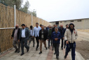برگزاری همایش پیاده روی به مناسبت گرامیداشت دهه مبارکه فجر سال ۱۴۰۴