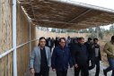 برگزاری همایش پیاده روی به مناسبت گرامیداشت دهه مبارکه فجر سال ۱۴۰۴