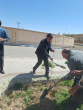 گزارش تصویری آیین روز درختکاری در حوزه معاونت دانشجویی