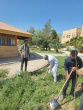 گزارش تصویری آیین روز درختکاری در حوزه معاونت دانشجویی