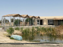 گزارش تصویری برگزاری دور همی صمیمانه خانواده بزرگ مجتمع آموزشی دانشگاه به مناسبت بزرگداشت مقام معلم و قدردانی همکاران دبستان پسرانه در این خصوص اردیبهشت ماه ۱۴۰۵