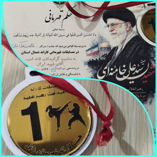 کسب مقام اول و مدال طلای مسابقات قهرمانی کاراته شمال استان توسط دانش‌آموز متوسطه اول دخترانه دانش
