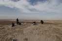 The third season of educational-research archaeological excavations by Zabol University begins in Pirzal Hill, Sistan.