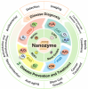 Publication of research results by researchers at the University of Zabol on the biomedical applications of nanozymes in the prestigious journal Coordination Chemistry Reviews
