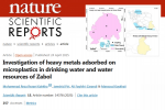 Publishing an article by faculty members of Zabol University in the prestigious journal Scientific Reports, part of the Nature subgroup publications series