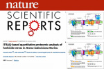 Publication of an article by a faculty member of the Plant Breeding and Biotechnology Department, Faculty of Agriculture, University of Zabol, in the prestigious journal Scientific Reports