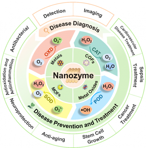 Publication of research results by researchers at the University of Zabol on the biomedical applications of nanozymes in the prestigious journal Coordination Chemistry Reviews
