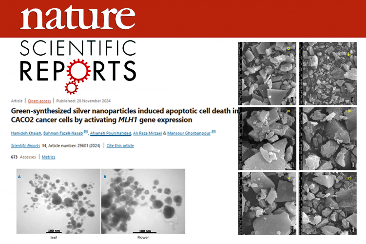 Publication of an article by members of the scientific associates of the Biotechnology Research Institute of Zabol University in the prestigious journal Scientific Reports, part of the Nature Subgroup Publications Collection