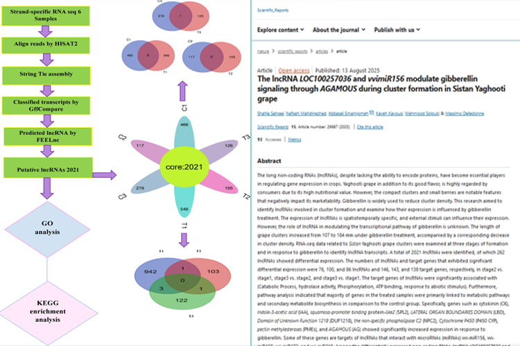 An article by faculty members of the Faculty of Agriculture was published in the 2025 issue of the prestigious journal Scientific Reports, part of the Nature Subgroup Publications Series.
