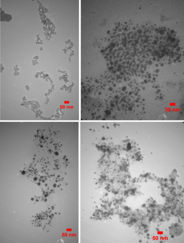 Publishing an article by faculty members of Zabol University on the treatment of breast cancer in the prestigious journal Scientific Reports, a sub-group of Nature publications.