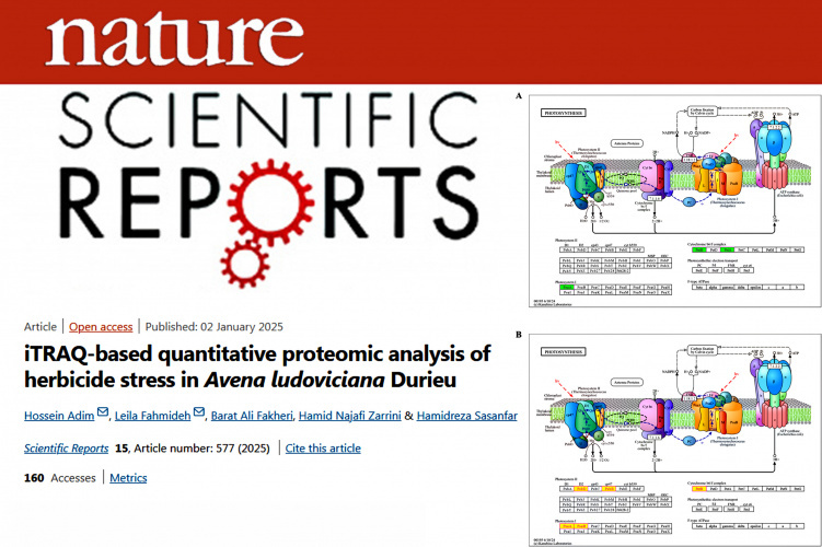 Publication of an article by a faculty member of the Plant Breeding and Biotechnology Department, Faculty of Agriculture, University of Zabol, in the prestigious journal Scientific Reports