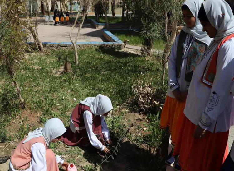 گزارش تصویری از آیین درختکاری در دانشگاه زابل