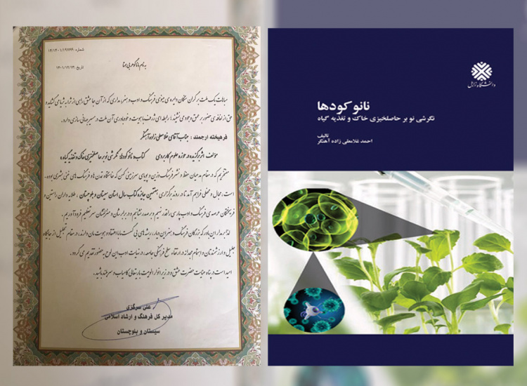 کتاب عضو هیات علمی دانشگاه زابل به عنوان اثر برگزیده در هفتمین جایزه کتاب سال استان سیستان و بلوچستان انتخاب شد