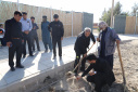 گزارش تصویری گرامیداشت روز درختکاری در دانشگاه زابل