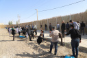 گزارش تصویری گرامیداشت روز درختکاری در دانشگاه زابل