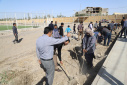 گزارش تصویری گرامیداشت روز درختکاری در دانشگاه زابل
