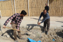 گزارش تصویری گرامیداشت روز درختکاری در دانشگاه زابل