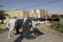 گزارش تصویری اجتماع بزرگ دانشگاهیان سیستان در دانشگاه زابل