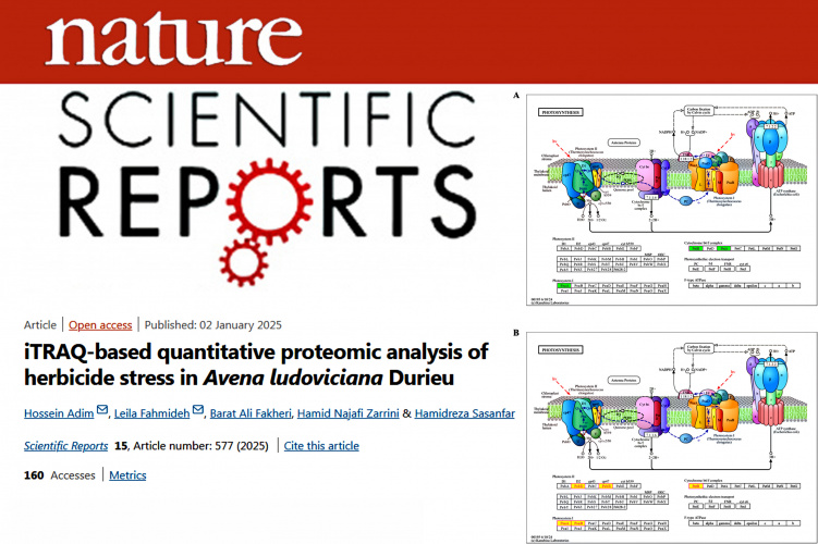 چاپ مقاله‌ای از عضو هیات علمی گروه اصلاح نباتات و بیوتکنولوژی دانشکده کشاورزی دانشگاه زابل در مجله معتبر Scientific Reports